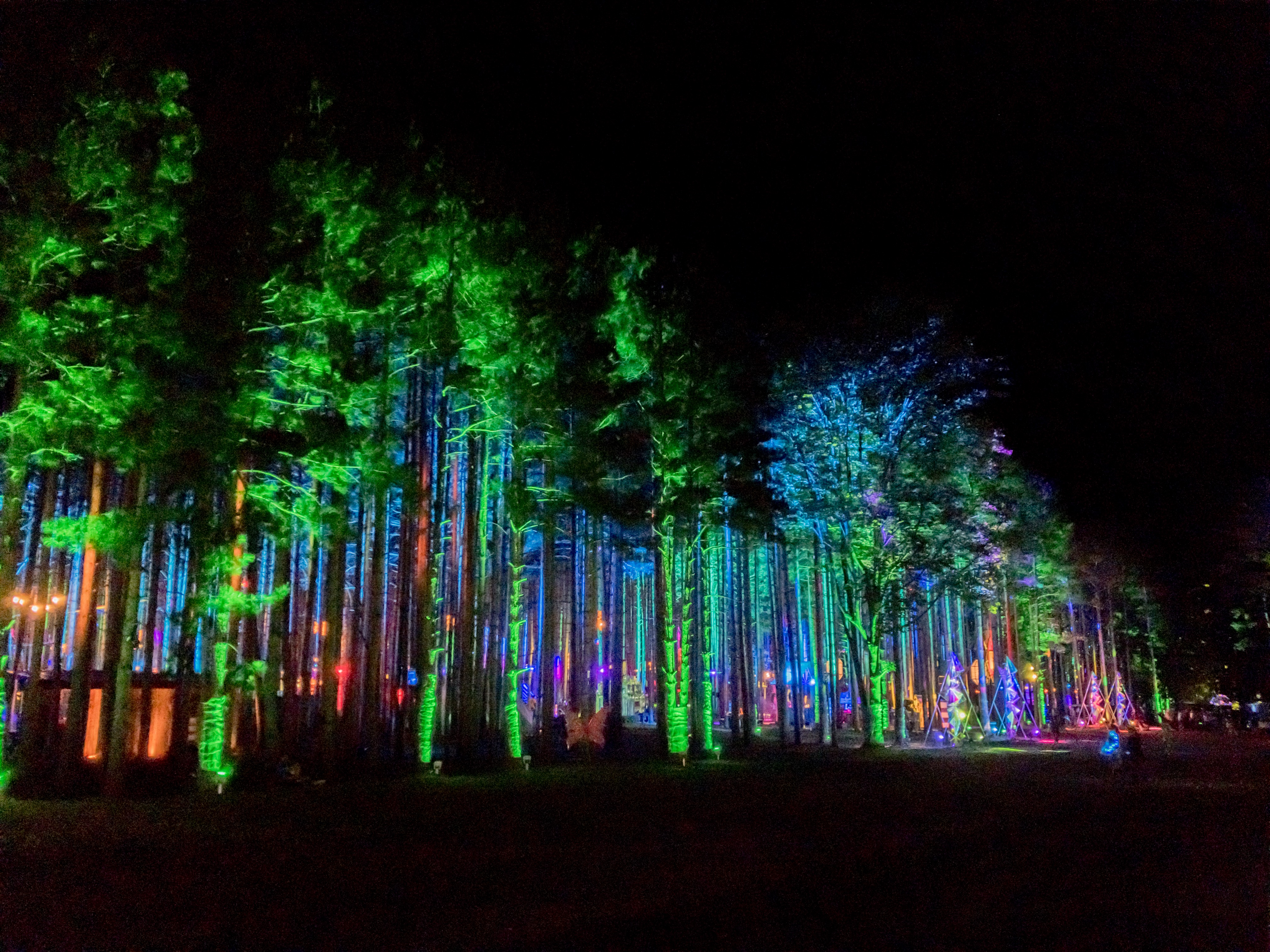 Electric Forest Festival 2018